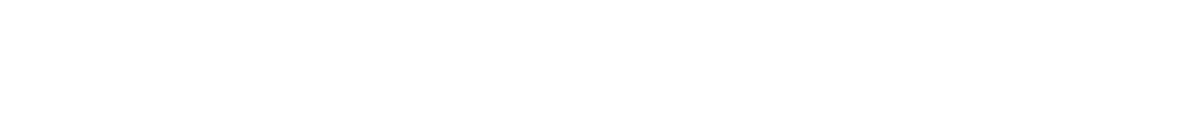 Snowek logo white